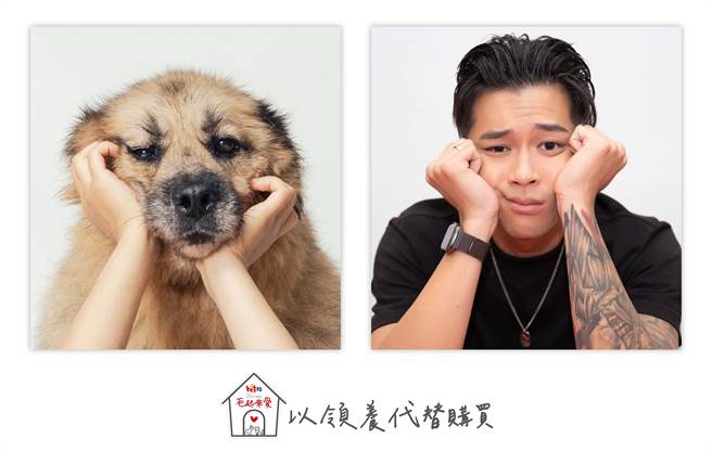 高尔宣跟着毛小孩「马妞」做出逗趣表情超吸睛。（Hit Fm联播网提供）