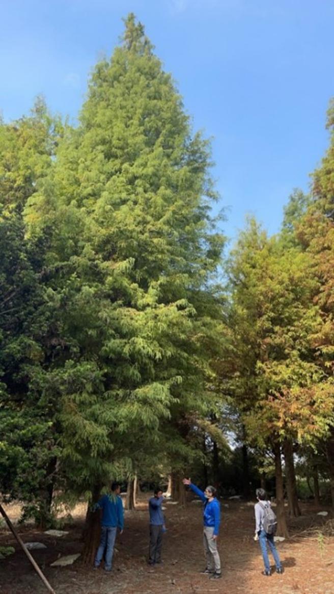 兴富发集团总裁郑钦天常率领团队选树。（图／业者提供）