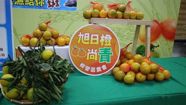 台南柳营推出的「旭日橙」柳丁，目前进入盛产期。（台南市政府提供／张毓翎台南传真）