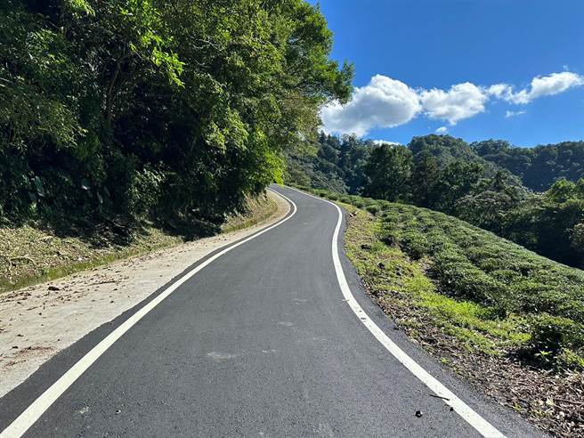 工程改善道路范围约610公尺，完工后让茶农採茶通行更安全。（新北市农业局提供）