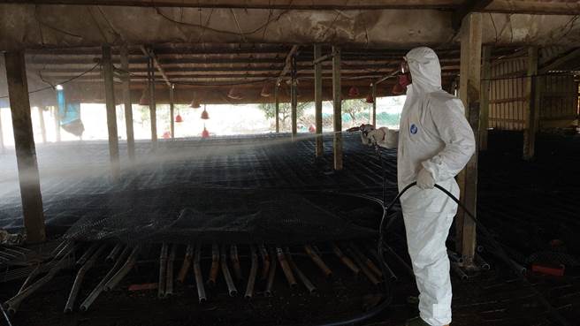 动物防疫人员进行鸭舍消毒。（台南市政府提供／张毓翎台南传真）