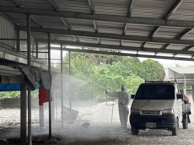 该场2060只鸭只已于日前全数扑杀完毕，并同步执行强化公共区域之消毒及周边临近养禽场採样监测工作。(高雄市动保处提供／林雅惠传真)