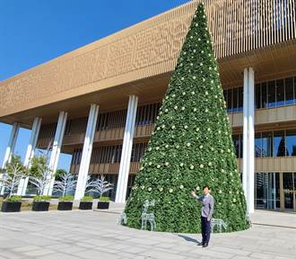 台南新總圖妝點150棵耶誕樹 打造耶誕森林