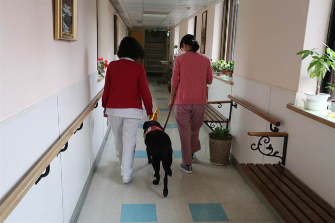 「Oba」驻点门诺，巡房时间获得患者及家属、还有医护团队喜爱。（门诺医院提供）