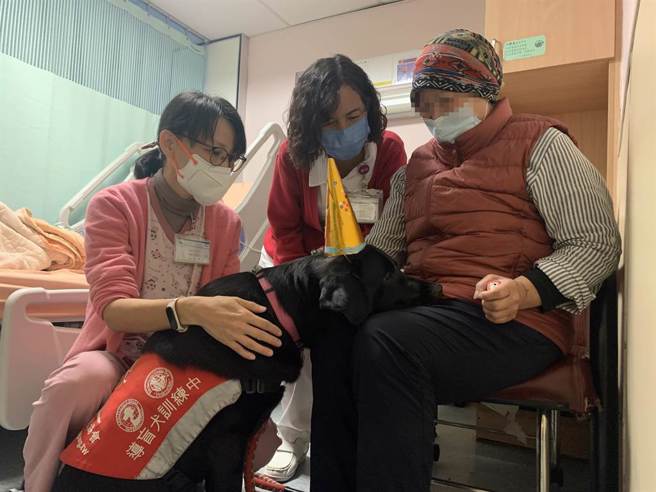 花莲门诺医院推动安寧缓和迈入25周年，院内的迦南病房在圣诞节前夕，邀请台湾导盲犬协会辅助治疗犬「Oba」，前往医院进行为期5天的驻点服务，牠可爱的面容，疗癒许多患者与家属。（门诺医院提供／罗亦晽花莲传真）