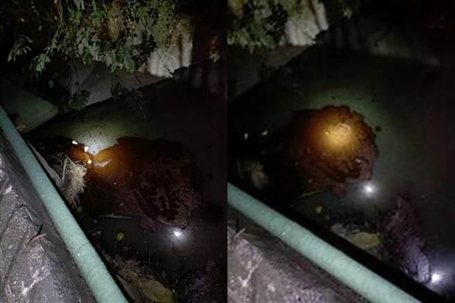 大寮大排疑遭人排放污染废水。（萧清翔提供）