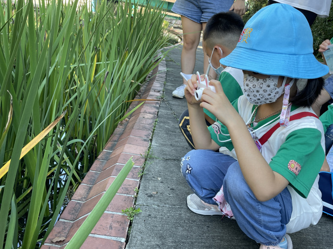 小朋友学习用相机记录美的事物。(照片/新北市教育局提供)