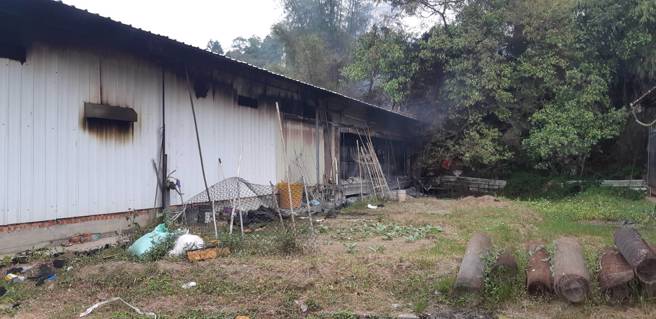 苗栗西湖养鸡场全面燃烧，近千只肉鸡烈焰下惨成「烤鸡」。(苗栗消防局提供)