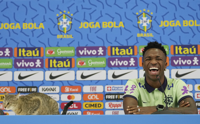 世界杯可爱猫猫太抢镜巴西新闻官驱逐举动引正反论战