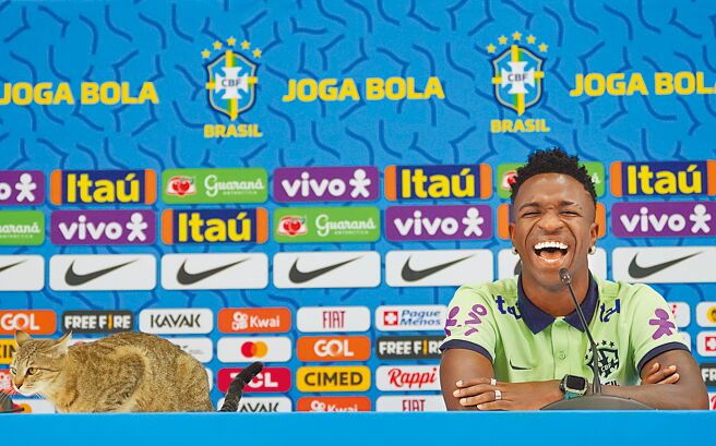 巴西邊鋒小維尼修斯出席記者會時，突然有隻虎斑貓跳上桌子搶戲。（美聯社）