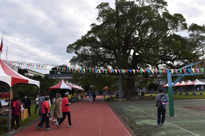 苗栗县兴隆国小以校园内有一株800年老樟树闻名。（谢明俊摄）