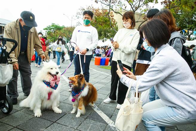 活動舉辦地點花博園區同時有其他活動舉行，許多民眾帶著愛犬前來參觀，可愛的狗狗也吸引其他民眾駐足拍紀念照。（粘耿豪攝）