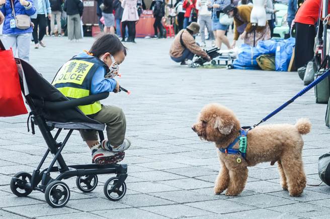 2022萌寵萬獸嘉年華於10日舉行，活動舉辦地點花博園區同時有其他活動舉行，一位穿著警察背心的小朋友與狗狗逗趣互動。（粘耿豪攝）
