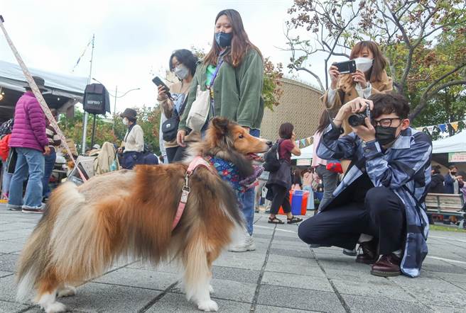 活動舉辦地點花博園區同時有其他活動舉行，許多民眾帶著愛犬前來參觀，可愛的狗狗吸引許多愛狗人士的注意。（粘耿豪攝）