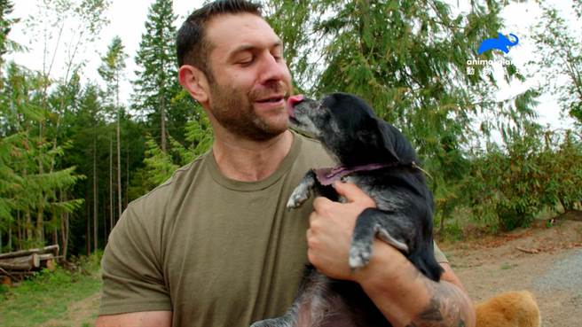 粗犷鬍子男李艾舍对狗狗很温柔。（动物星球频道提供）