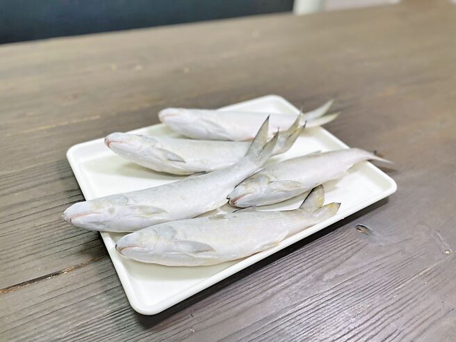 大陆再禁台湾水产品，午仔鱼也在列，不仅有渔民忧心，进出口业者也同样担忧。（洪靖宜摄）