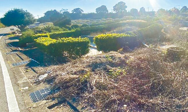 台中市新社9日驚傳命案，林姓男子遭打死後，被丟棄在第7公墓內。（陳淑娥攝）