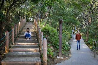 新北推動「城市覓徑」 都市公園化身簡易登山步道