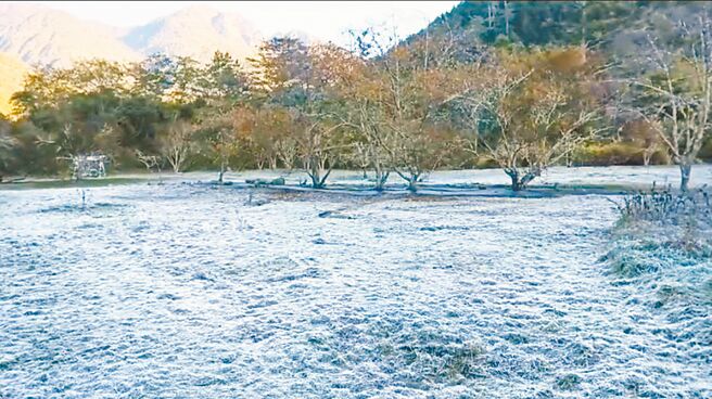 和平區武陵農場昨天清晨6時許，出現1.4度的低溫，農場大地呈現一片雪白的銀色世界。(武陵農場提供／陳世宗台中傳真）