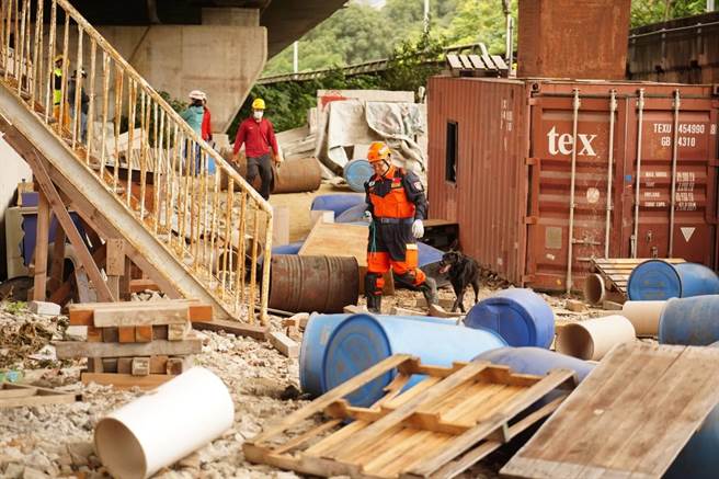双北消防局合办搜救犬技术评测。（新北市消防局提供）