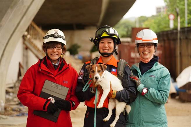 双北消防局合办搜救犬技术评测。（新北市消防局提供）