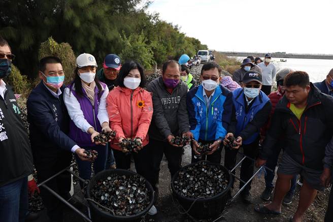 台西鄉文蛤池近日傳出發生大量暴斃情形，雲林縣長張麗善（著桃紅外套者）今（12日）會同農委會水產試驗所人員會勘。（周麗蘭攝）