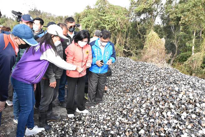全部都是死殼。（周麗蘭攝）