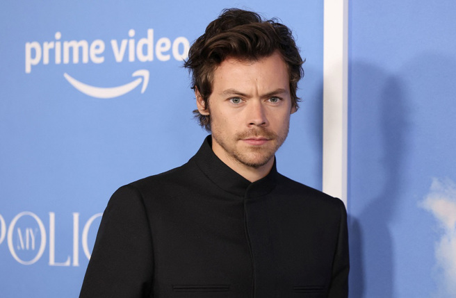 英國男星哈利史泰爾斯近日傳出遭武裝歹徒搶劫。（圖／達志影像）