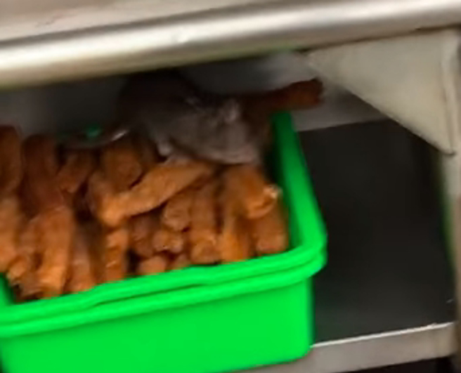 豆浆店惊见老鼠嗑油条，引起千人讨论。（图／翻摄自爆废公社二馆）