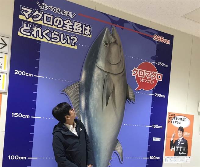 高雄市長陳其邁與豐洲市場拍賣最大黑鮪魚紀錄288公分模型合影。（高雄市海洋局提供／林瑞益高雄傳真）