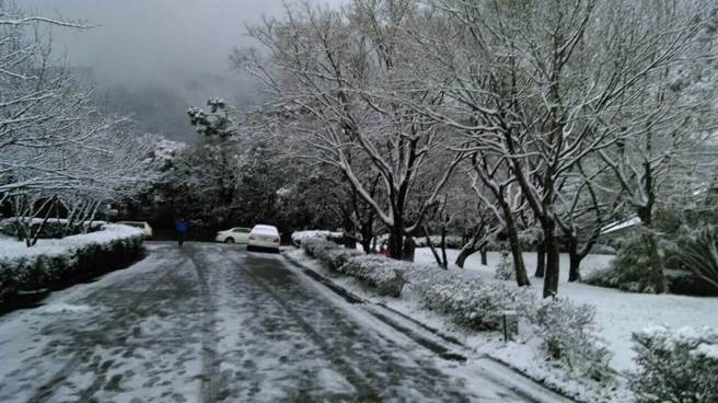 2016年的霸王寒流来袭，阳明山一夜成了银色世界。（警方提供）