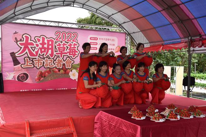 苗栗縣大湖鄉草莓季已從12月起正式上市開賣。（謝明俊攝）