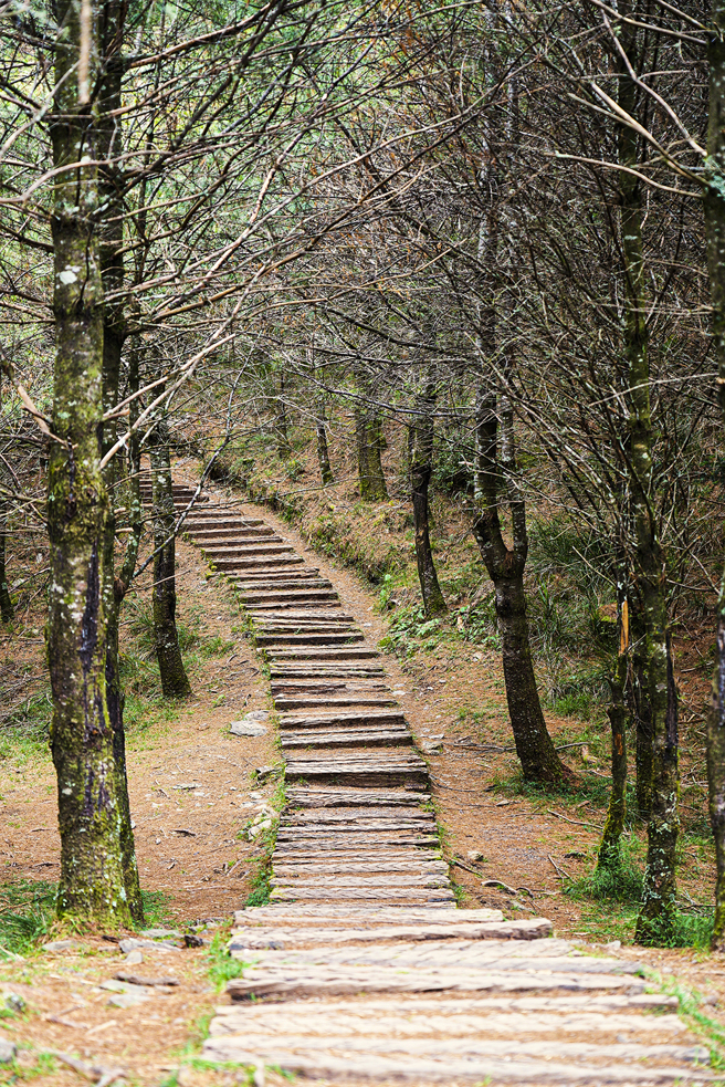 桃源區南橫中之關古道（天池）。(攝影/Cindy Lee)