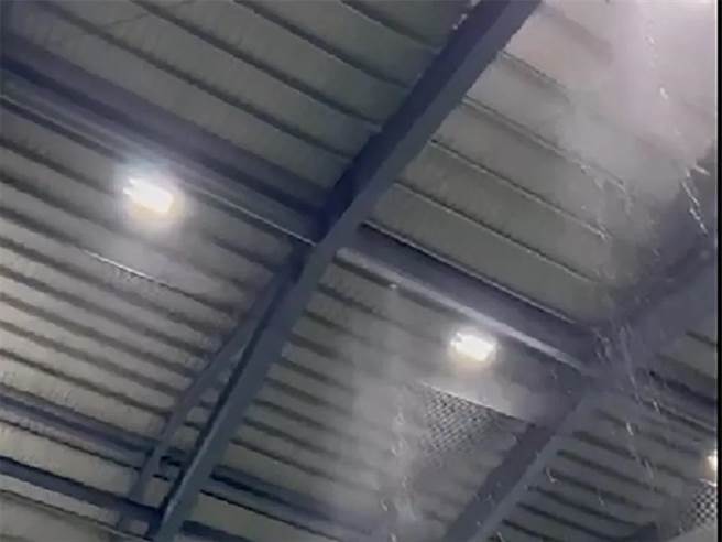 桃园平镇棒球场室内练习场屋外下雨屋内现瀑布奇观。(翻摄照片／吕筱蝉桃园传真)