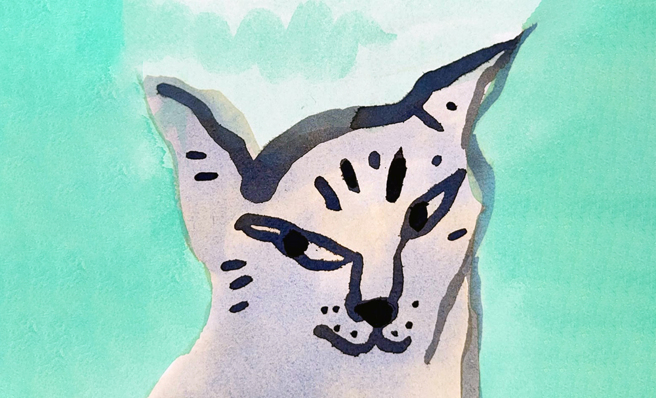 插畫家林佩穎。(插畫/林佩穎)