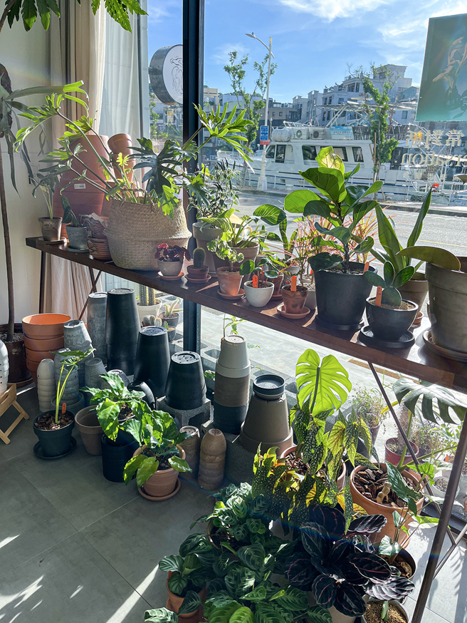 小水坑 WOMB店内一角。(图片提供/黄培瑜)