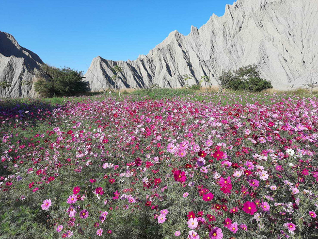 高雄泥岩恶地地质公园。(图片提供/恶地农夫工作室)
