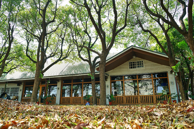 郭慧慧的母亲是设计师，退休后亲自设计出仿如德国森林小屋的梦想家园，并种下两排桃花心木和樟树，从小树苗细心培育成绿色隧道。(摄影/Cindy Lee)