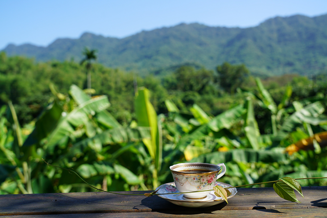 绿意拥簇、微风轻拂，品嚐一杯带龙眼香的手冲咖啡，将忙碌的都市生活抛在脑后。(摄影/Cindy Lee)