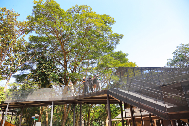 園區打造「空中漫步長廊」串接園區內的動物展區及熱點設施，遊客可以透過不同角度，看見動物們不受驚擾的自然樣貌。(攝影/Carter)