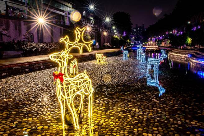 麋鹿现踪中港大排河廊内。（水利局提供）