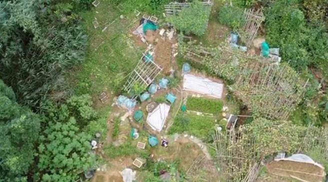 警方利用空拍机鸟瞰杨姓弟弟多次进入的山区。（警方提供）