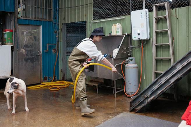 五堅情日前造訪張媽媽流浪動物之家。（愛最大慈善光協會提供）