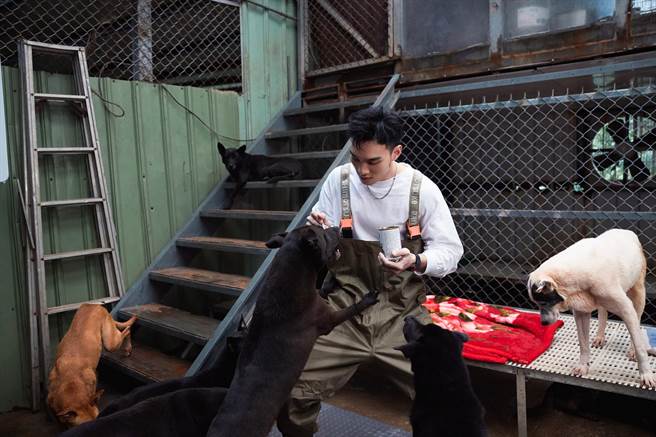 五堅情日前造訪張媽媽流浪動物之家。（愛最大慈善光協會提供）