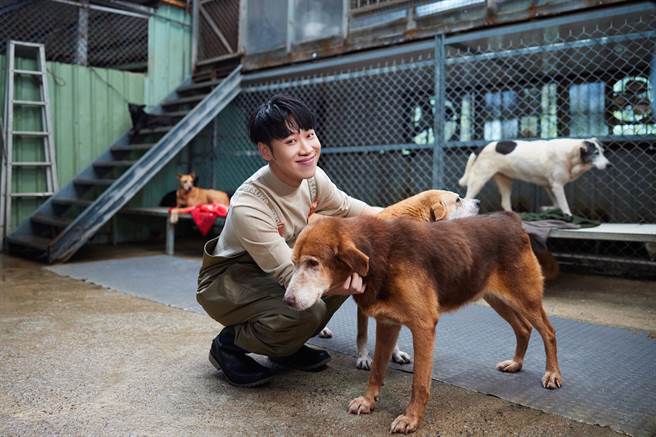 五堅情日前造訪張媽媽流浪動物之家。（愛最大慈善光協會提供）