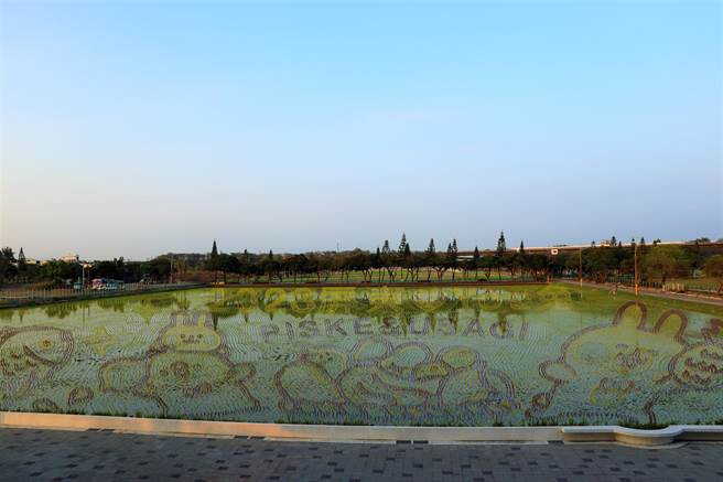 为迎接2023年屏东热带农业博览会，县长潘孟安15日带领百名线上报名游客一起入田插秧，种植拥有千万粉丝的「卡娜赫拉的小动物」。（谢佳潾摄）