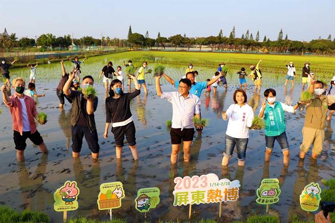 为迎接2023年屏东热带农业博览会，县长潘孟安15日带领百名线上报名游客一起入田插秧，种植拥有千万粉丝的「卡娜赫拉的小动物」。（谢佳潾摄）