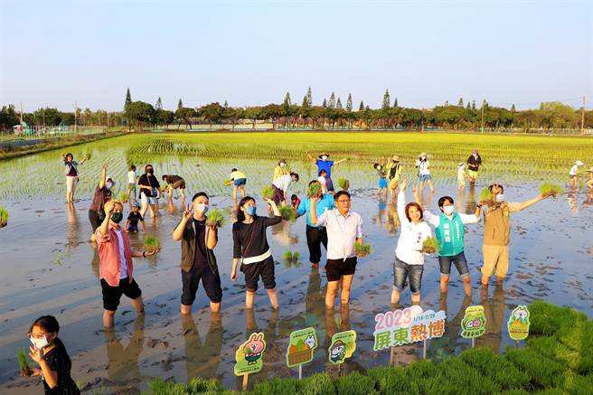 为迎接2023年屏东热带农业博览会，县长潘孟安15日带领百名线上报名游客一起入田插秧，种植拥有千万粉丝的「卡娜赫拉的小动物」。（谢佳潾摄）