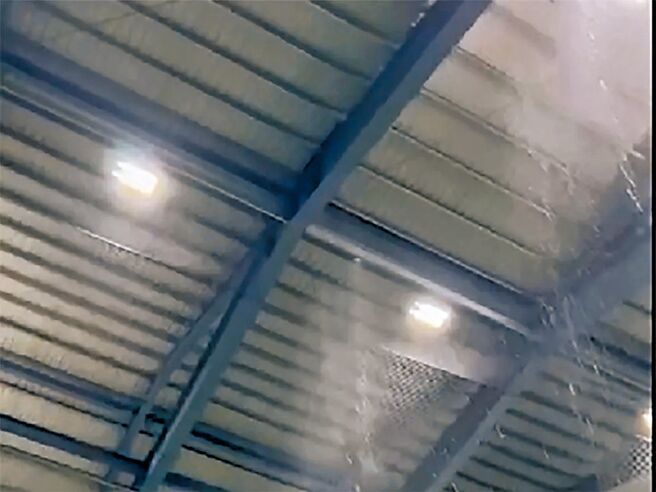 桃园平镇棒球场室内练习场屋外下雨屋内现瀑布奇观，体育局澄清是今年7、8月豪大雨时发生的事。（翻摄照片／吕筱蝉桃园传真）