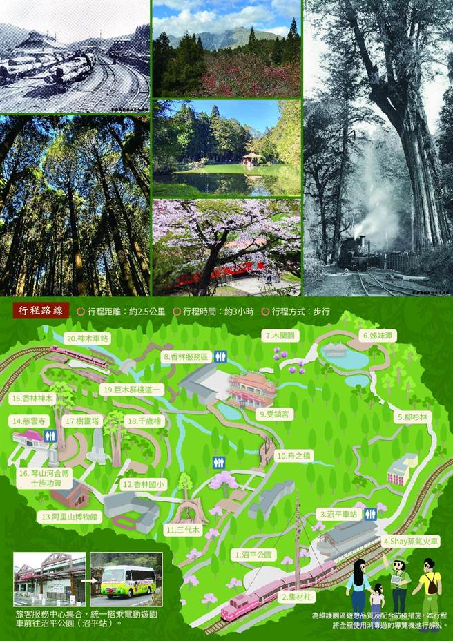 阿里山国家森林游乐区导览解说服务DM。（林务局嘉义林区管理处提供）